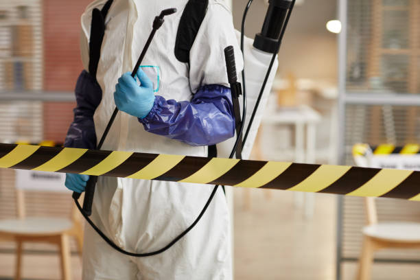 Professional Sewage Cleanup technician working in Wading River, NY